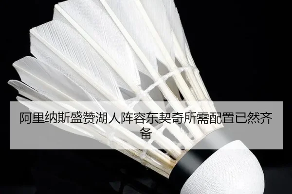 阿里纳斯盛赞湖人阵容东契奇所需配置已然齐备 | Kaiyun