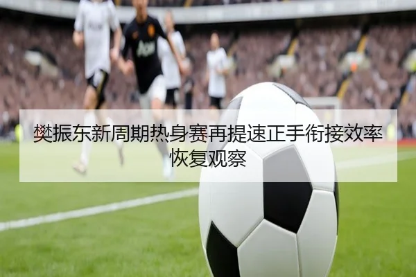樊振东新周期热身赛再提速正手衔接效率恢复观察（Kaiyun）